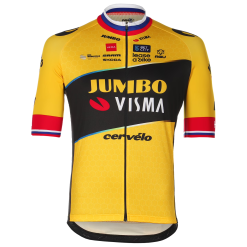 TEAM JUMBO-VISMA Short Sleeve Shirt Primoz Roglic 2024 Yellow VM201
